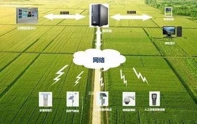 未來(lái)農(nóng)業(yè)科技暢想曲 植物工廠、智慧農(nóng)業(yè)與功能食品的技術(shù)交響